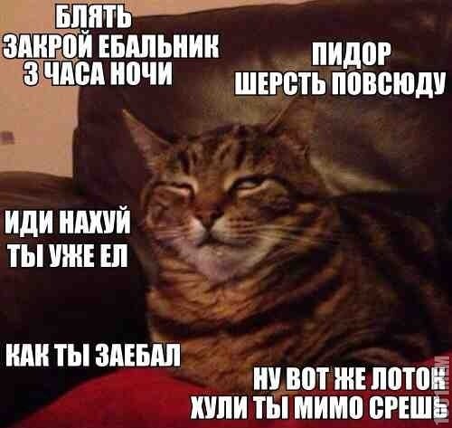 Небольшая подборка разного из сети.