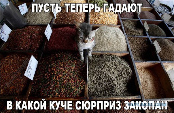 Картинки и приколы из сети, для поднятия настроения=)