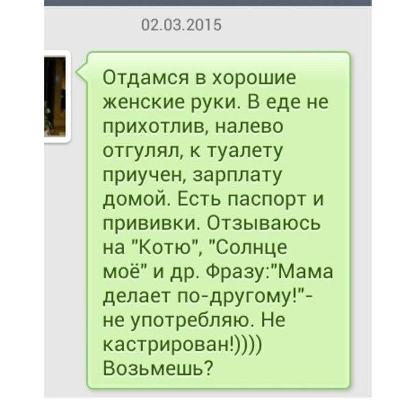 Смешные комментарии из социальных сетей 23.09.2016