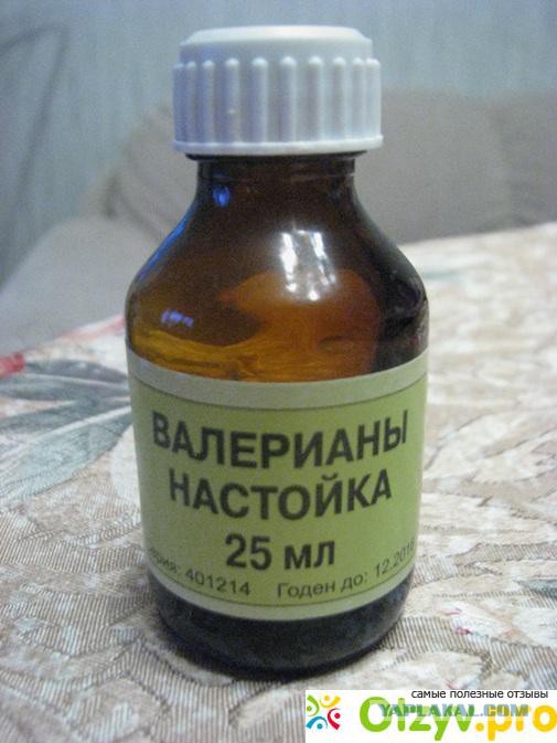 Купил котам корм в виде желе