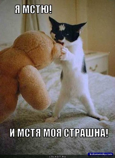 Самая безумная месть в мире