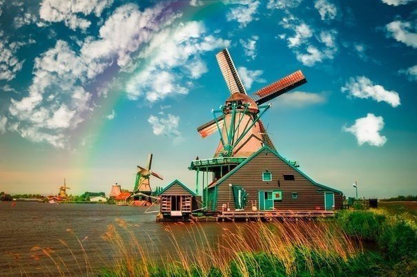 Моменты, запечатлённые на фото и просто позитив 5