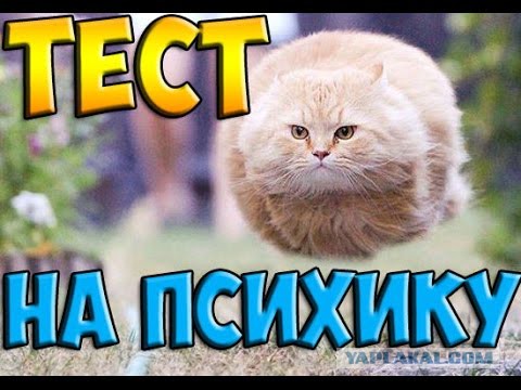 12 советов новорегу