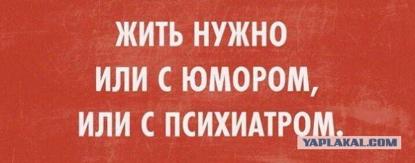 Синий кит
