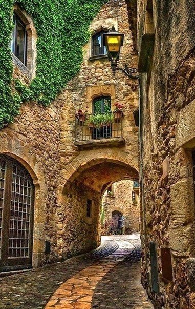 Моменты, запечатлённые на фото и просто позитив 5