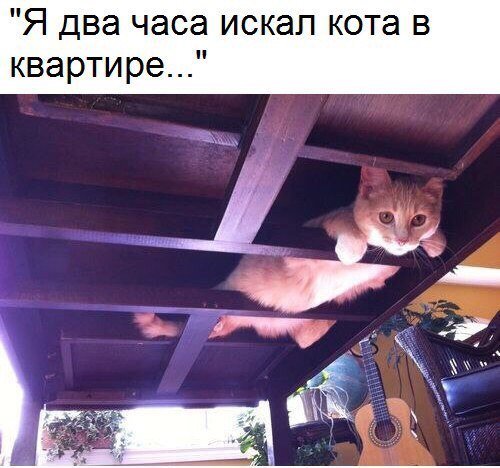 Смешные комментарии из социальных сетей 24.03.2017