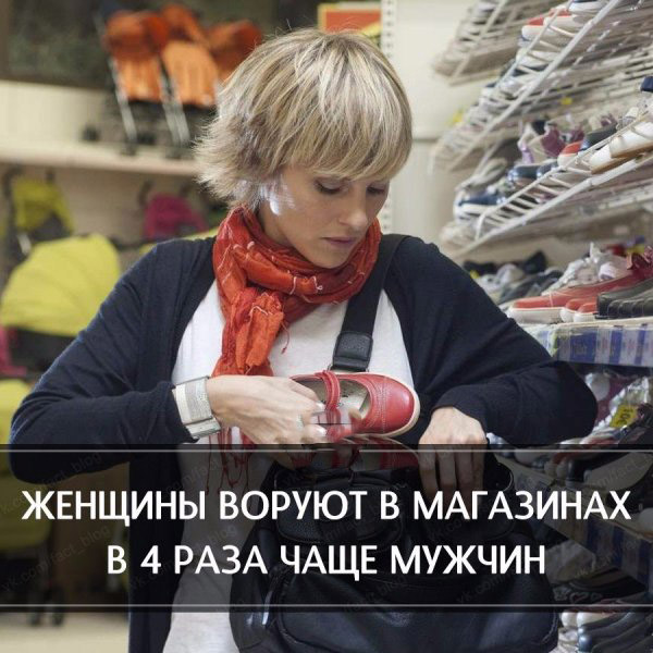 Краткие факты