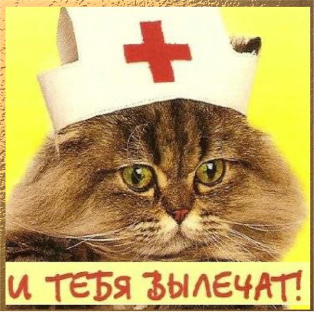 В Омске предложили легализовать проституцию для получения денег на ремонт дорог