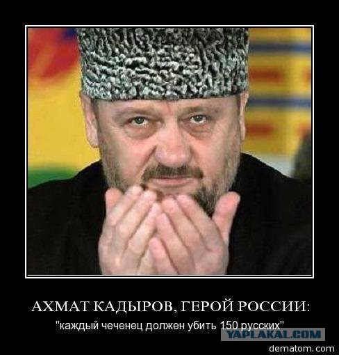 На мосту Ахмата Кадырова в Петербурге появился профиль Ахматовой