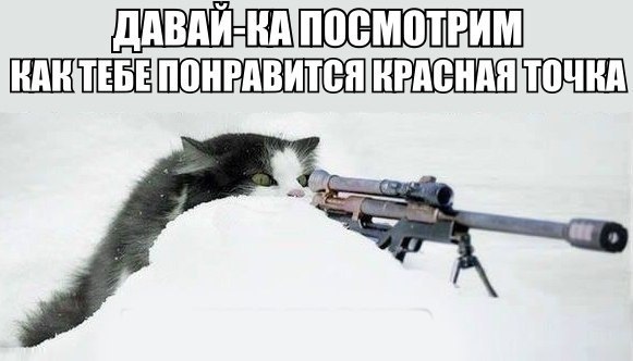 100 картинок для поднятия настроения!