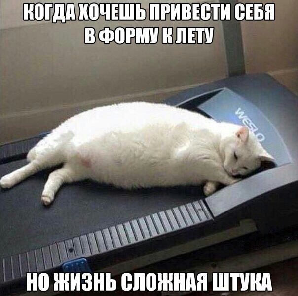 Смешные комментарии из социальных сетей 03.11.2017