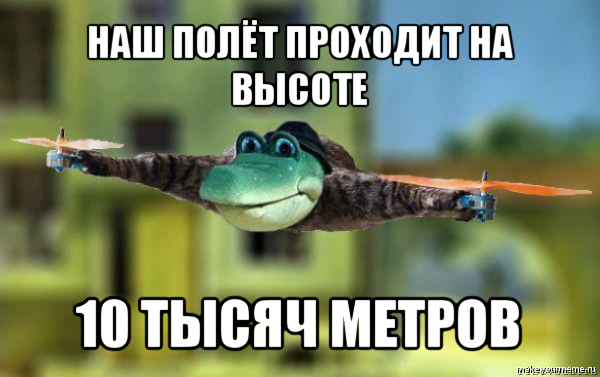 И снова дратути