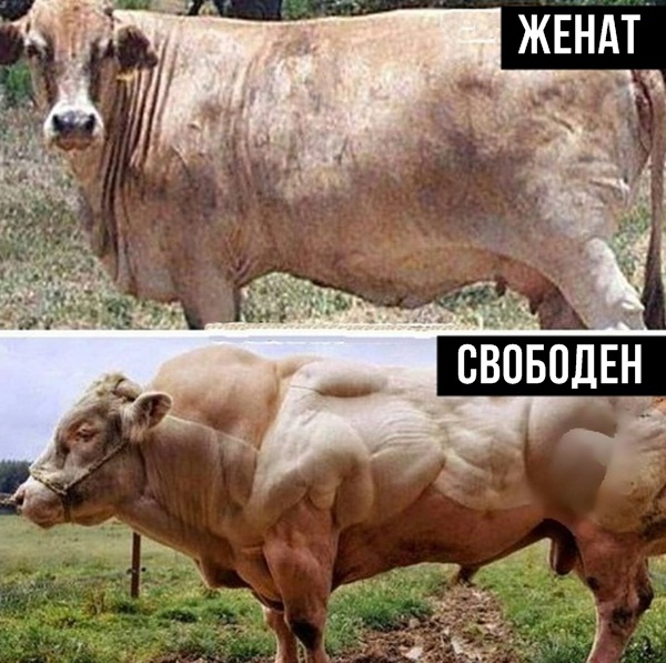 Немного картинок в эту среду