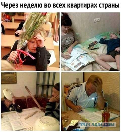 Немного картинок в эту среду