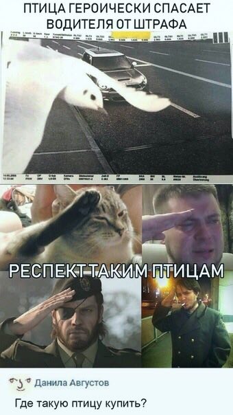 Немного картинок в этот понедельник