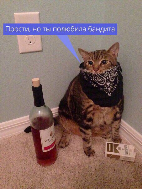 Немного картинок в это воскресенье