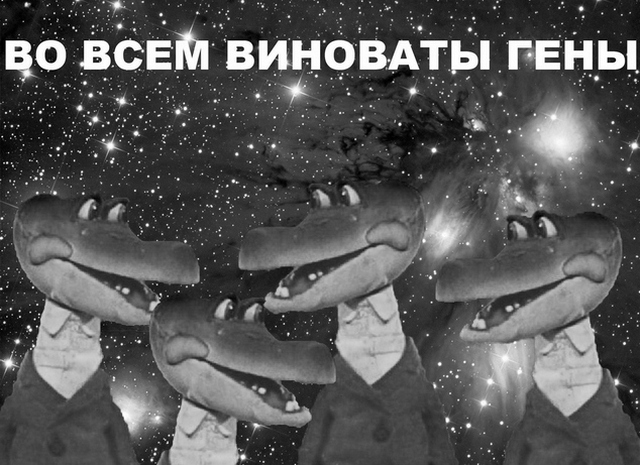 "Папа, нас же за это посадят": Панин на Gelandewagen проехал по пешеходной дороге с людьми в Саратове