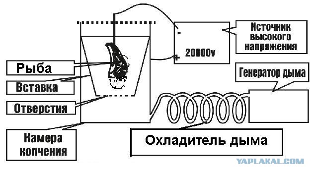 Немного о домашнем копчении после обеда