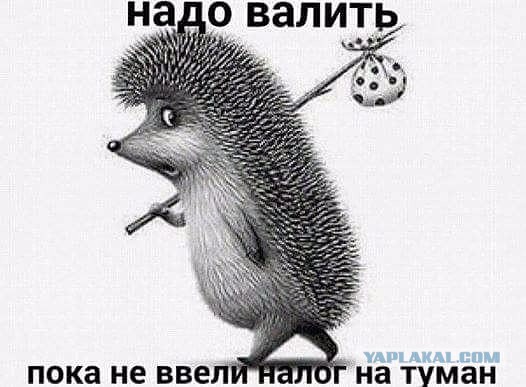 Подборка интересных и веселых картинок 28.11.18