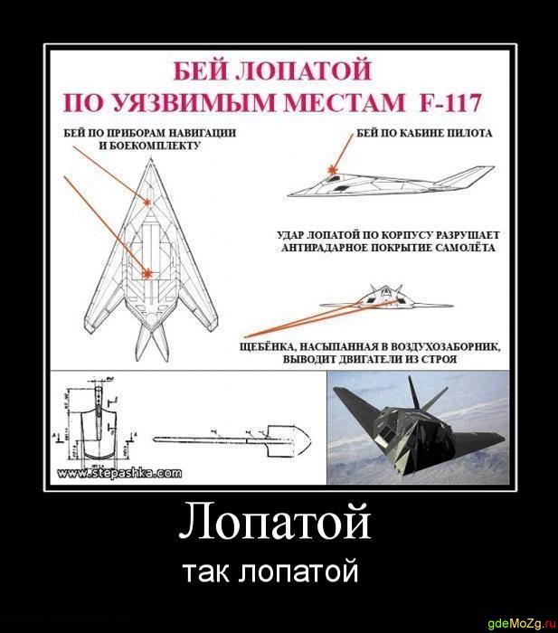 Все что вы хотели узнать, но не знали у кого спросить