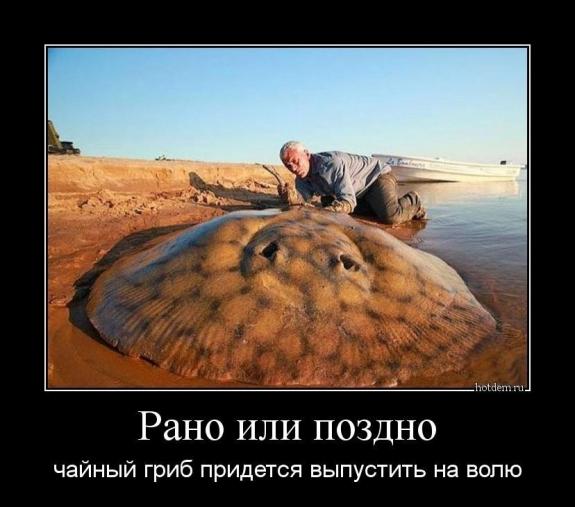 Не очень адекватный юмор