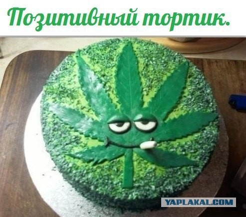 К чему привёл легалайз в Уругвае: Про бабулю и марихуану