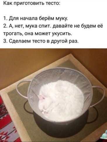 Немного картинок для настроения 24.10.19