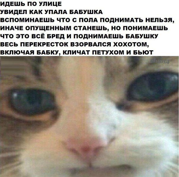 Вы будете смеяться, но...