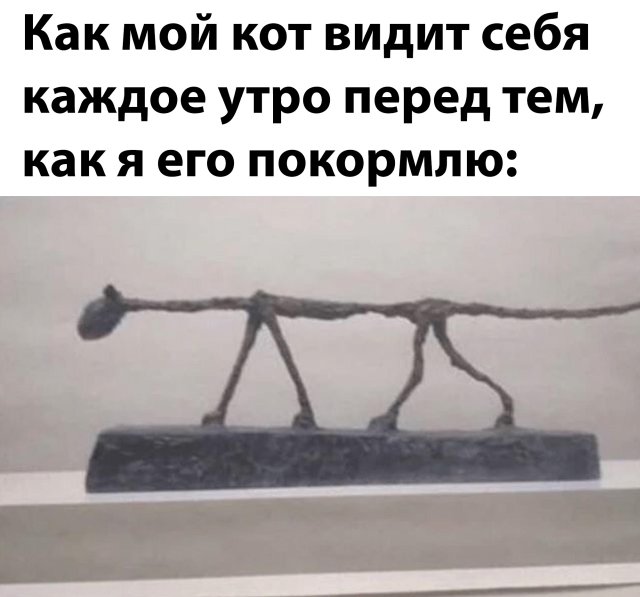 Прикольные картинки 21.04.2020