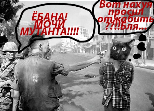 Киса хочет жабы