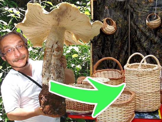 Пословицы