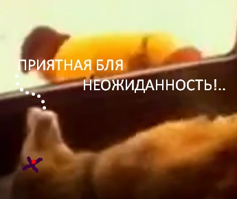 Лада 2121 - небольшой автомобиль с огромными возможностями
