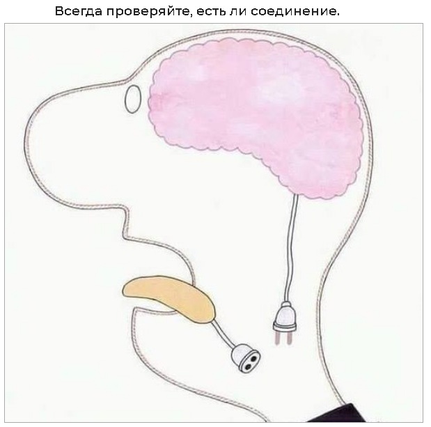 Кретинизмы из KO и KV 30.01.21