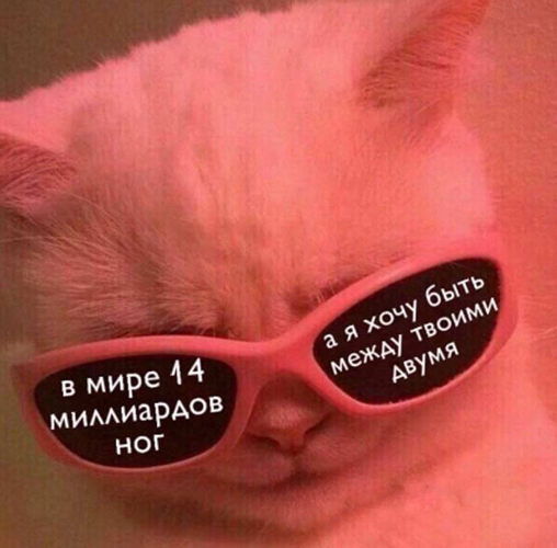 Мы здесь не для этого