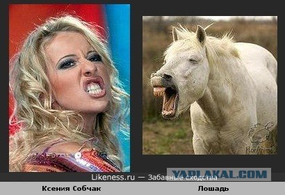 Мы все похожи