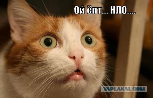 Эскорт НЛО