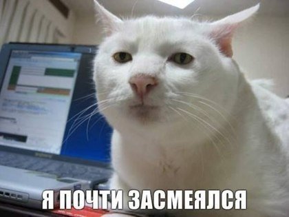"Солянка" из картинок для улыбнуться или позалипать в среду