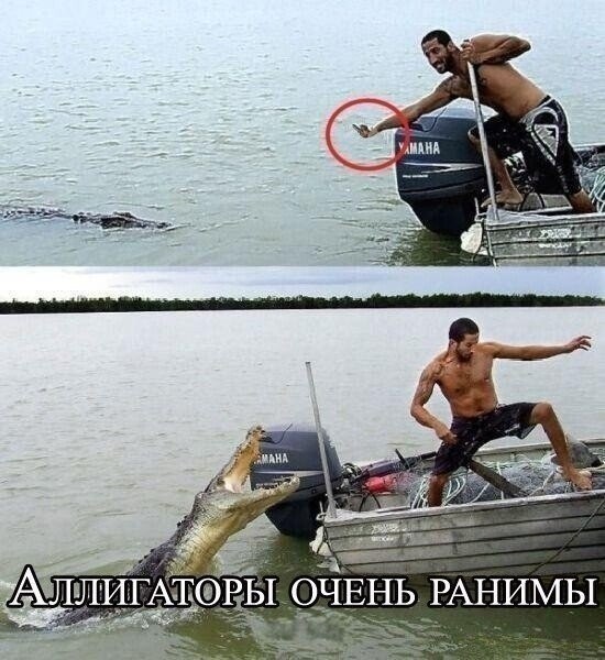 Весёлый полтишок 6.06