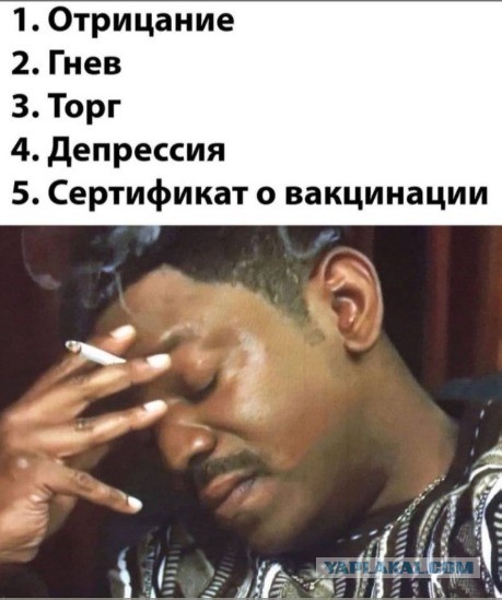 С..ки непривитые - 2