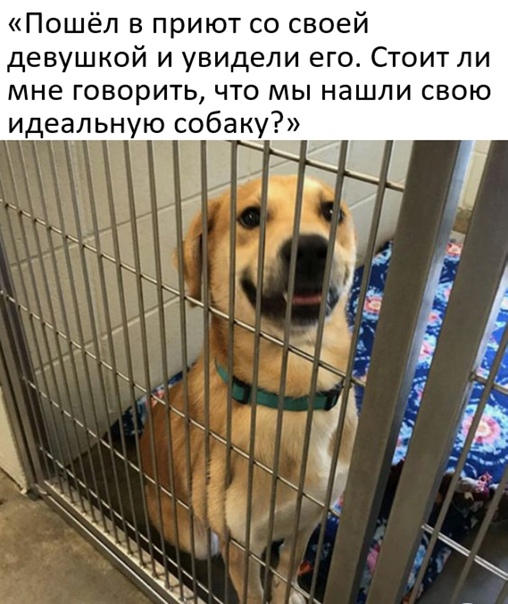 Картинки и мемы для настроения 03.11.2021
