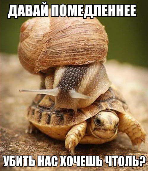 Подеградируем, побаяним...