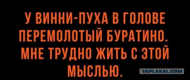 Забавные комментарии из социальных сетей (13.06.22)