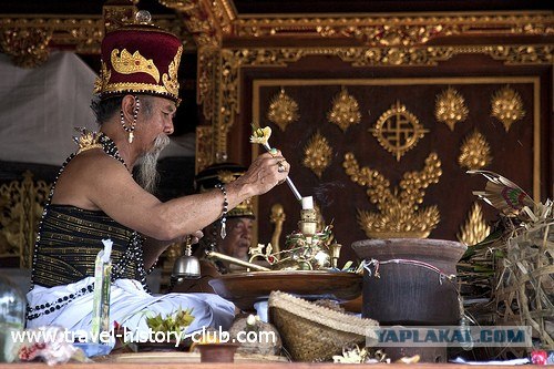 Они живут только 40 лет