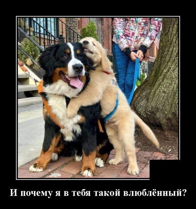 Картинки с надписями 31.07.22