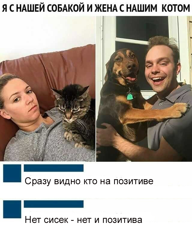 Так себе картинки 15.09.22