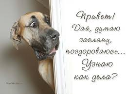 Последствия, с которыми может столкнуться мужчина, решивший создать семью с разведенной