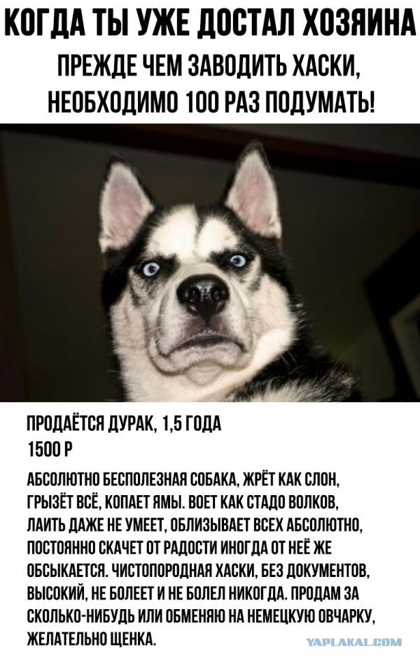 Заканчивай, нас "спалили"