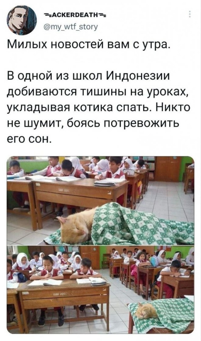 Картинки и мемы, всем хороших выходных