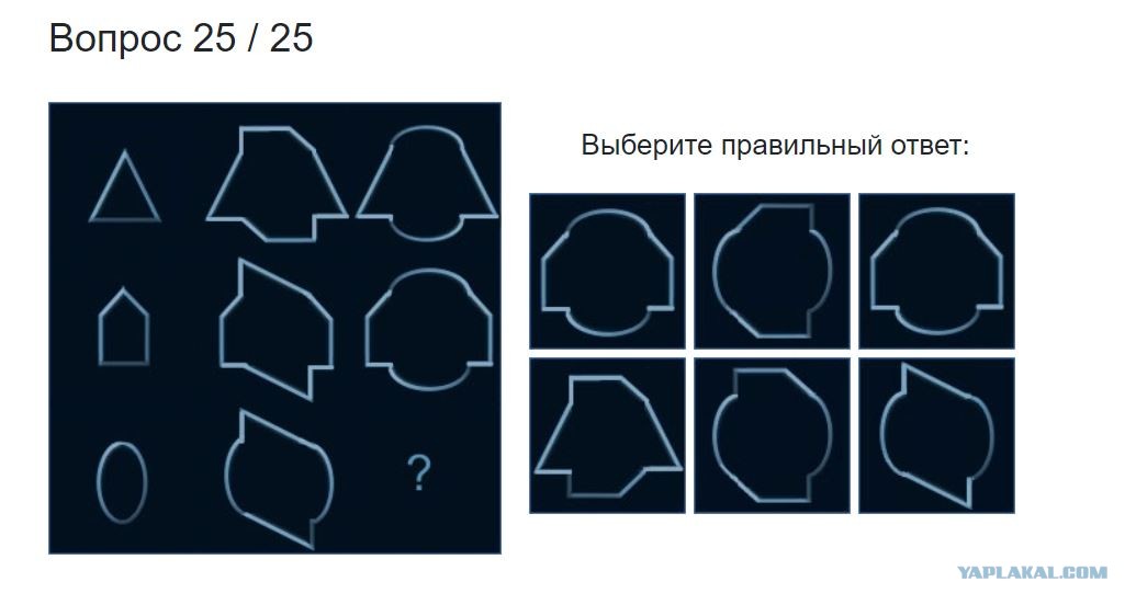 Самый короткий тест на iq 3 вопроса