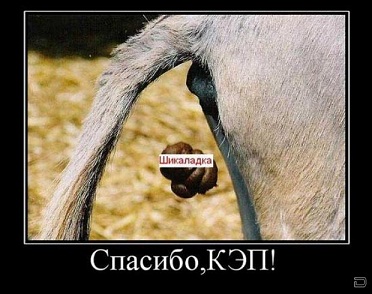 Навстречу кортежу из 30 автомобилей